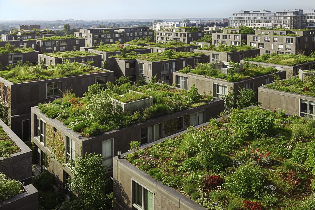 Partner Research Highlights: Green Roof Design for Improved Building Energy Performance